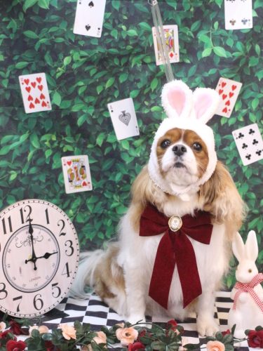 20250423ルディくん